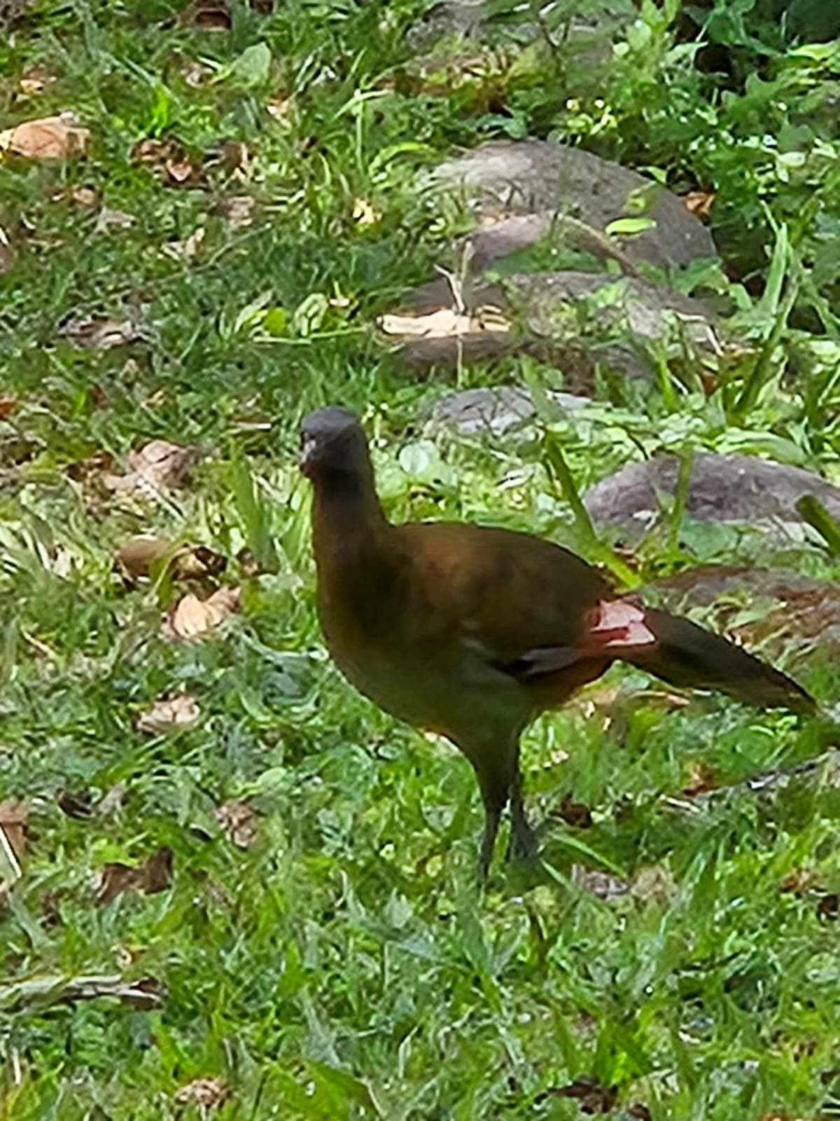 Foto de Senderos Amados 18